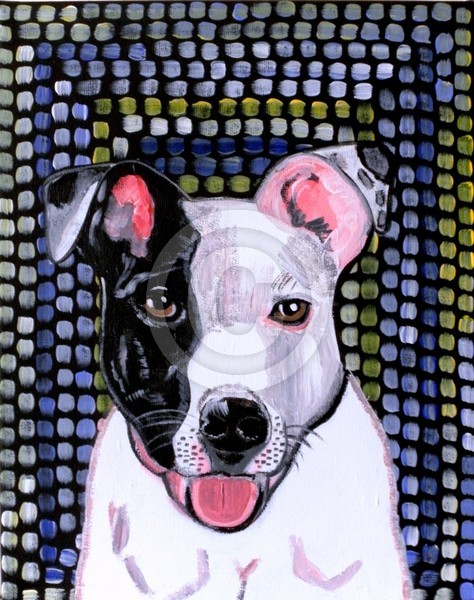 Pooch