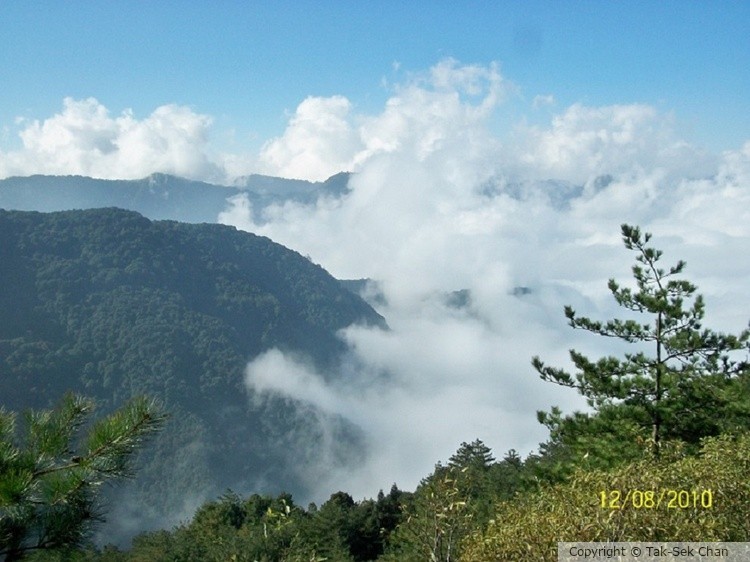 White clouds on top of Mt. Ali, Taiwan, 12-08-2010