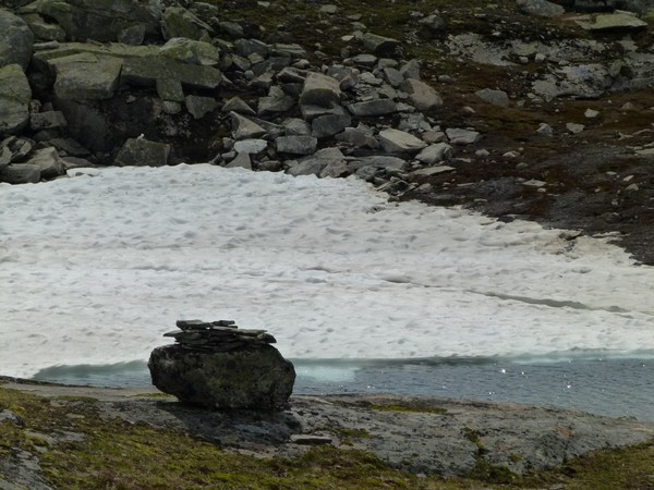 Stones in snow