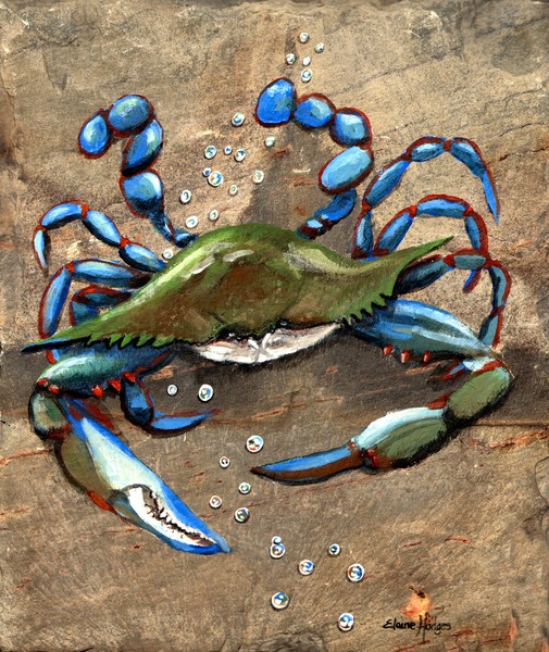 Blue Crab