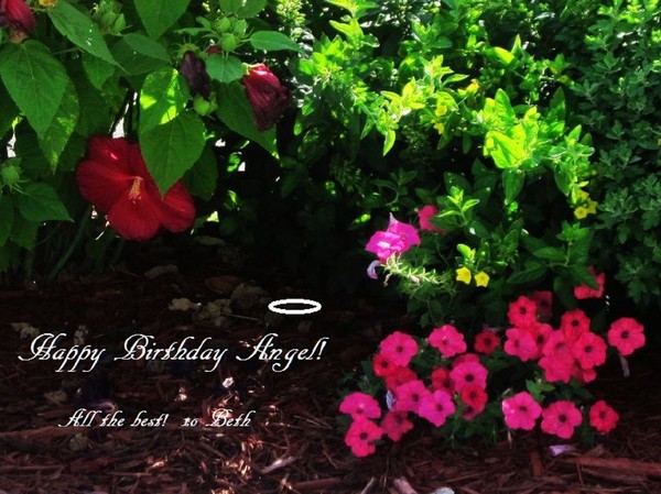 Happy Birthday Angel!