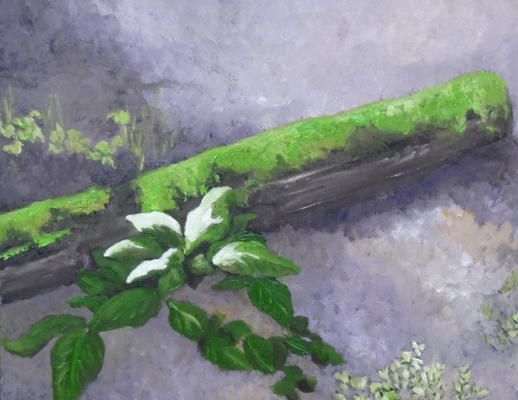 Upon the Violet Path