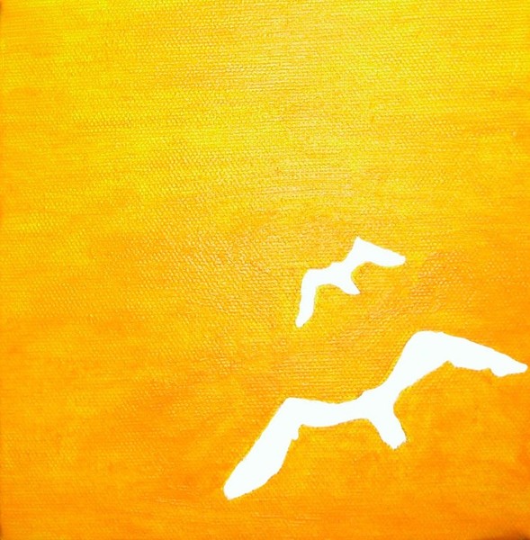 beach seagulls