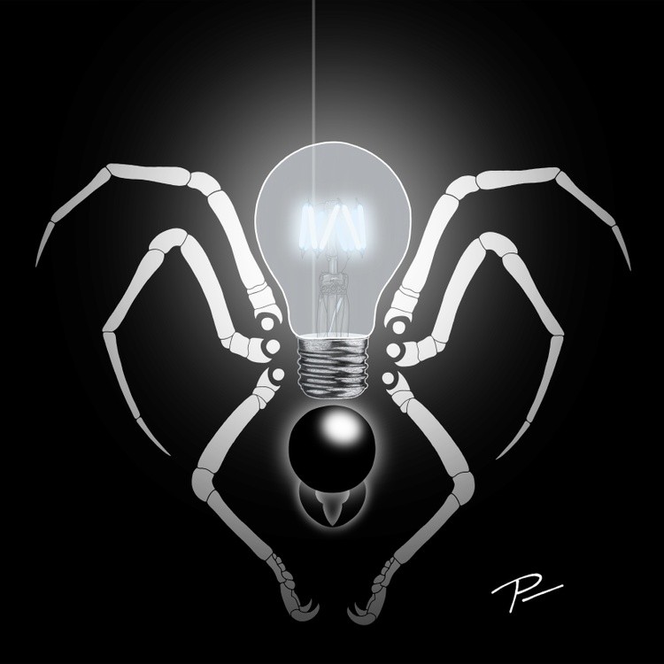 NOTaSPIDER