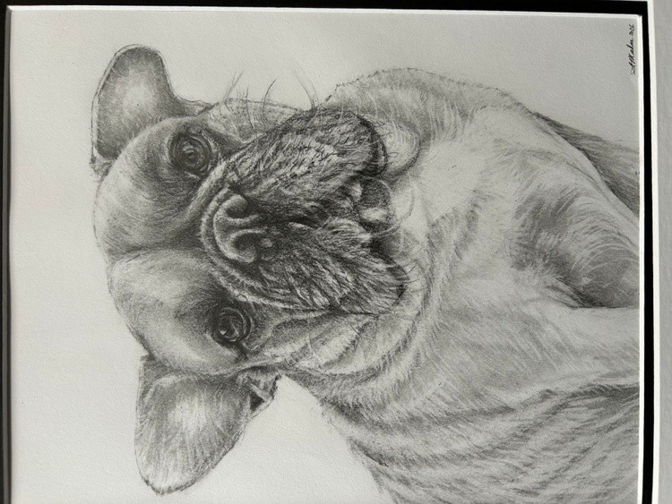Frankie