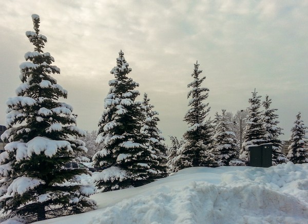 Winter in Toronto