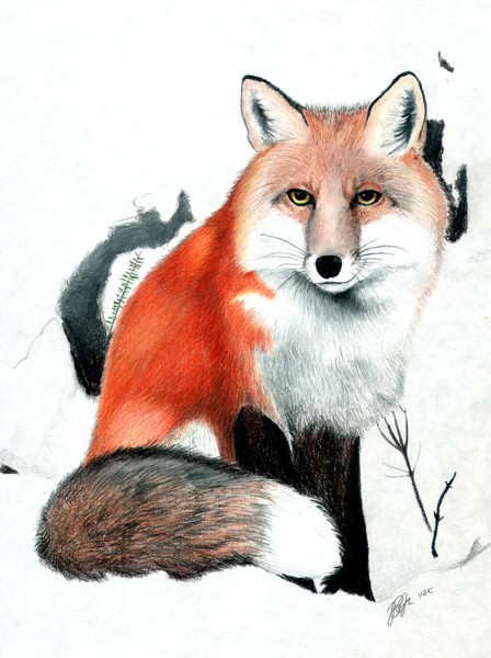 Fox