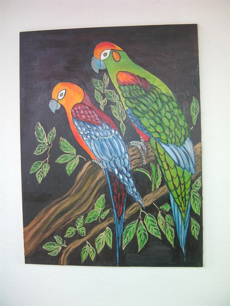parrots