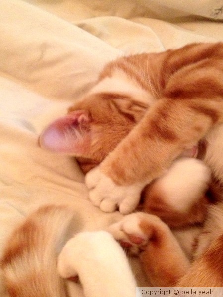 please put the light off, i'm trying to sleep