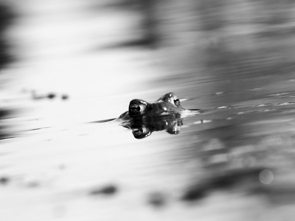 selfreflection 2