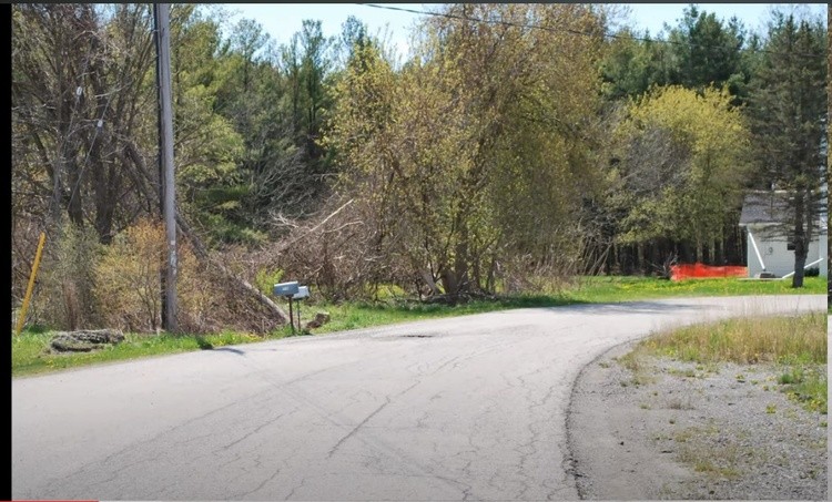 Dunnville Forest 5