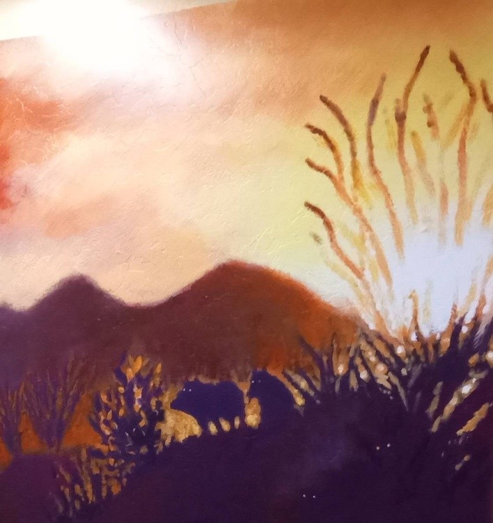 Ocotillo Sunset