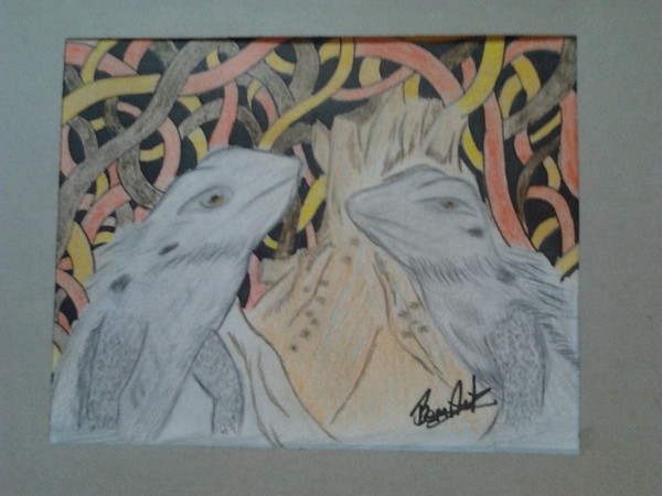 Bearded Dragons