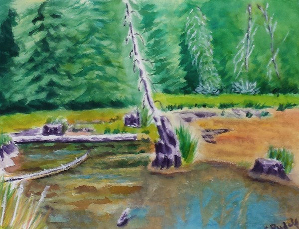 Nature's Peaceful Setting
