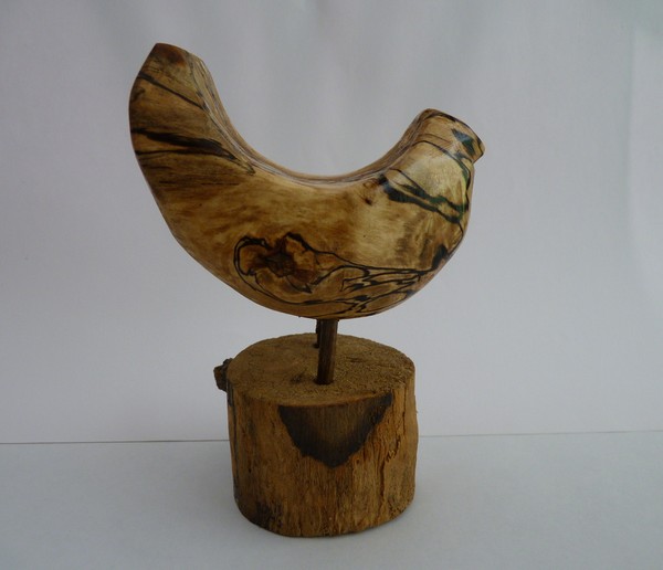 Maple Bird