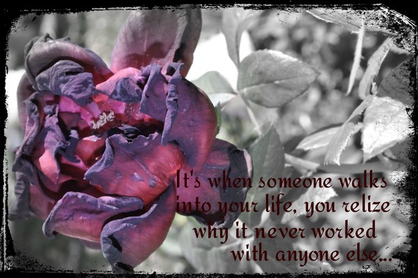 Its when someone poem on a rose