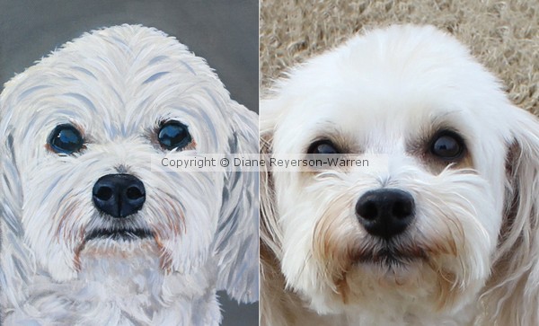 custom pet painting, cat portrait