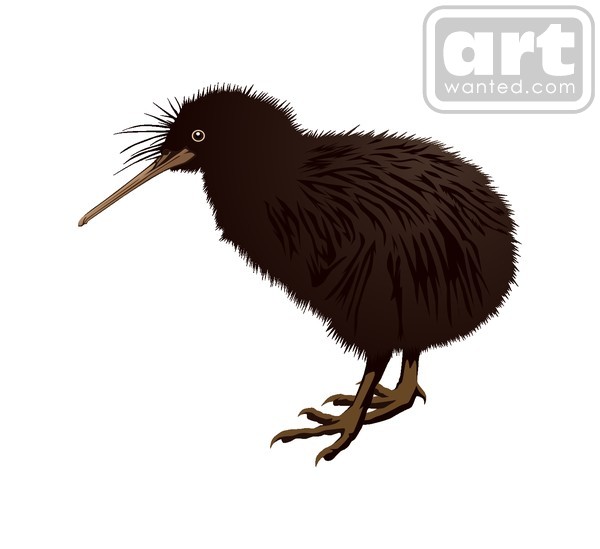 kiwi