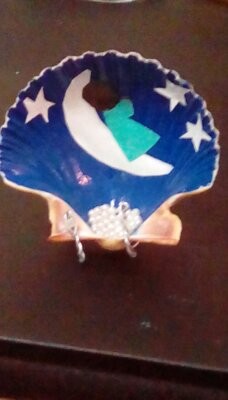 Baby sleeps in a sea shell