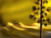 desert