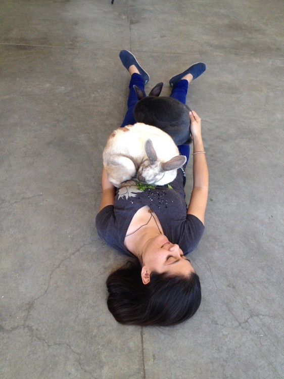Karen Muro I love my bunnies