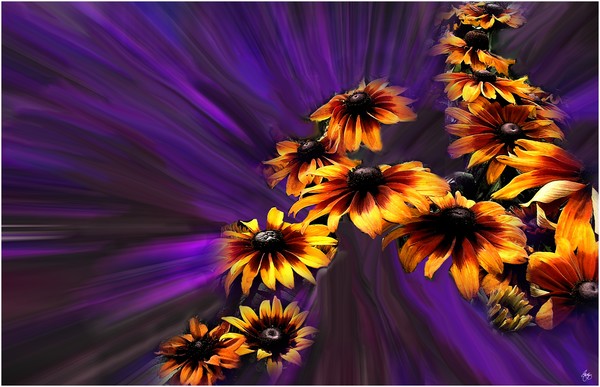 Gloriosa Way