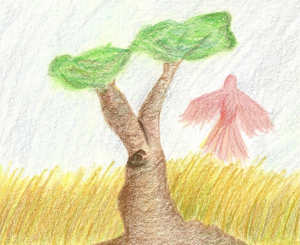 Dry Savannah