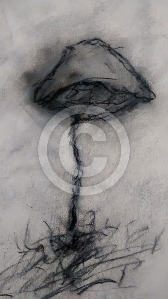 flesh lost