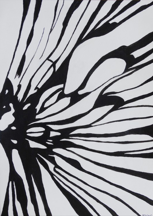 Black & White Patterns