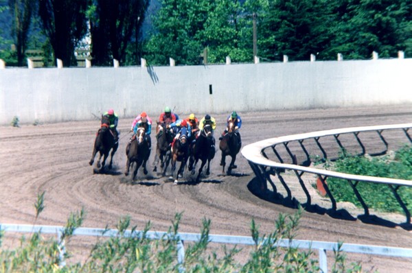 Horse racing