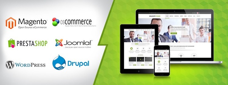 Web design and development services