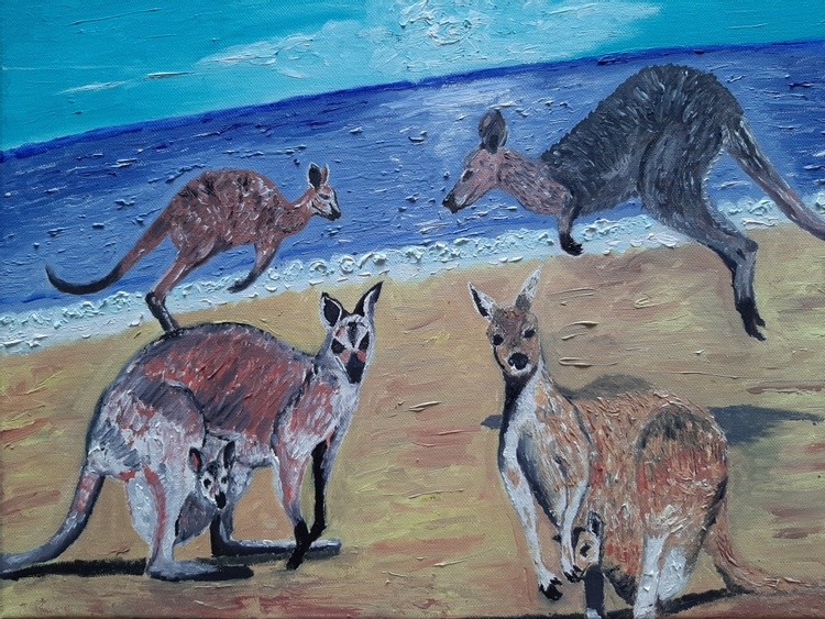 Animal series --- kangaroos