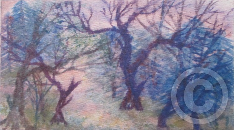 N C Woods Path
