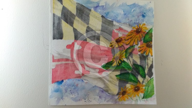 MD flag and Black-Eye-Susans