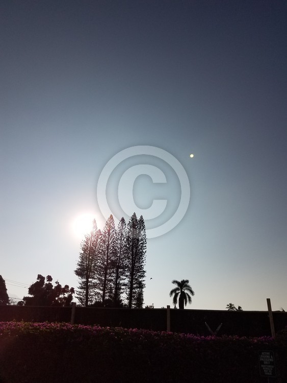 MAUI SUN & MOON