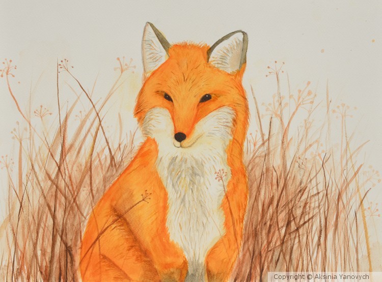Fox