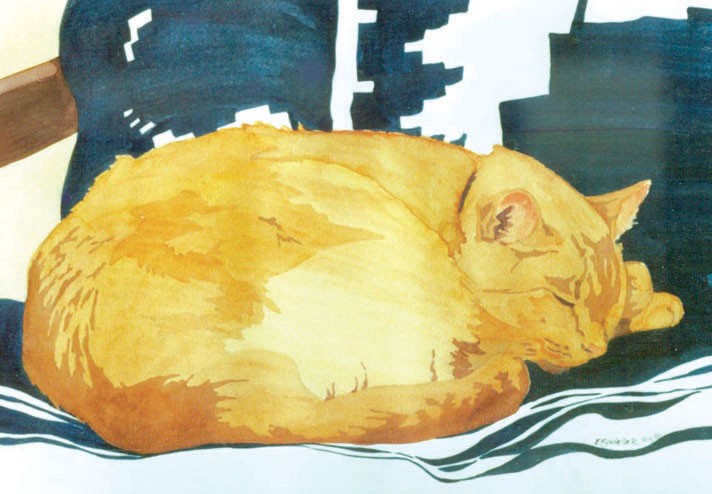 The Orange Cat Sleeps