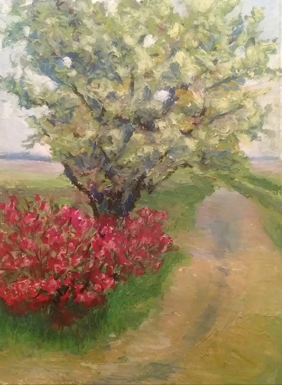 Along the Drive