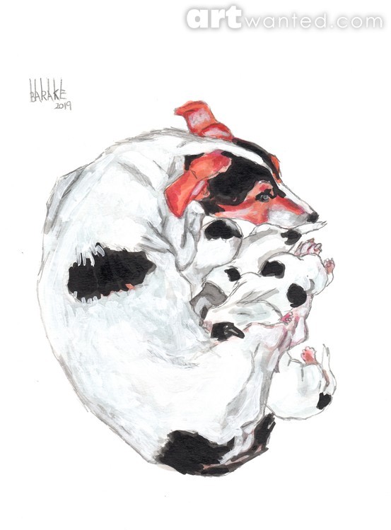 JACK RUSSELL  TERRIER MATERNITY