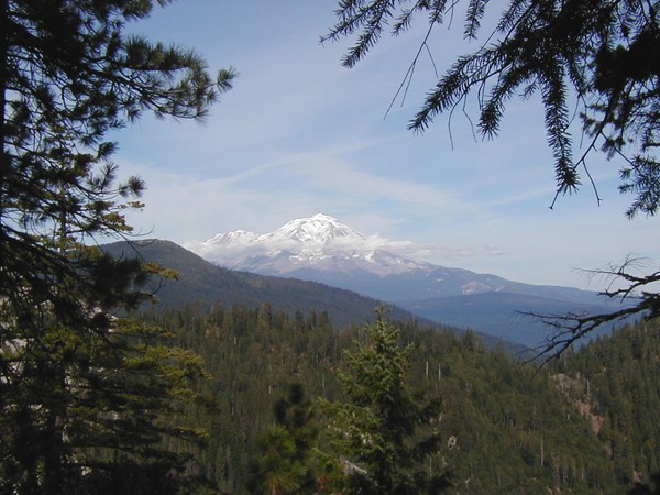 Mt. Shasta