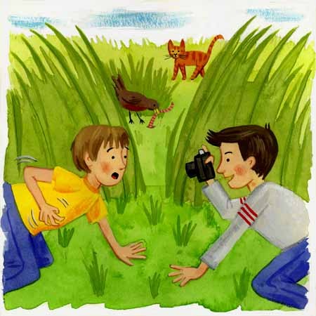 Backyard Safari