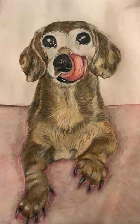Tater in loving Memory