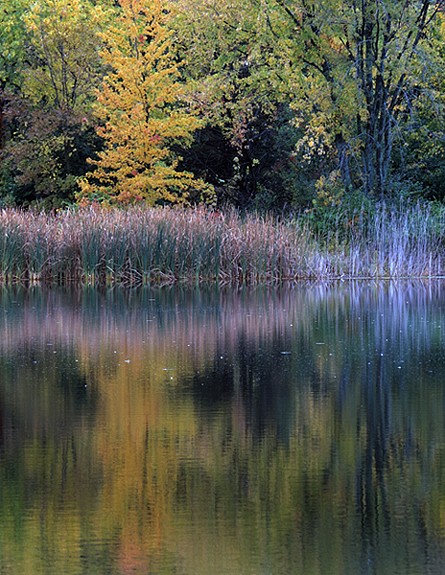 Dufield Pond 2
