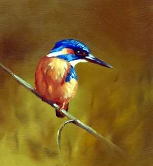 king fisher 1