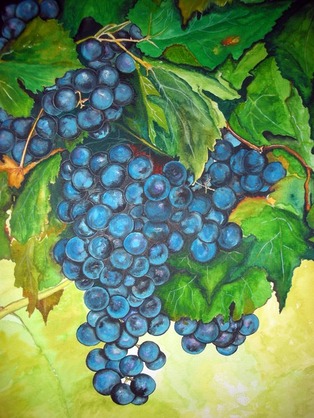 Fresh grapes
