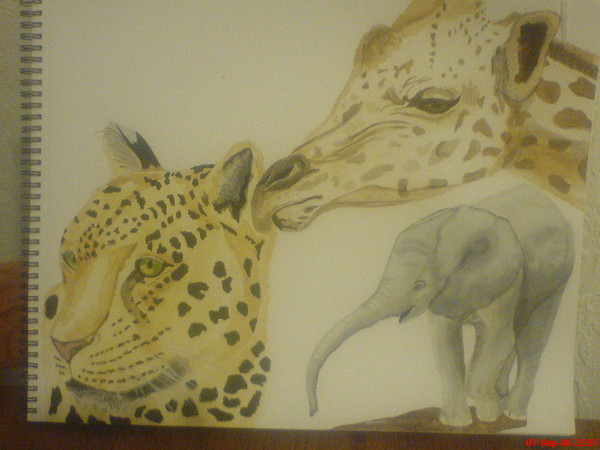 out of africa