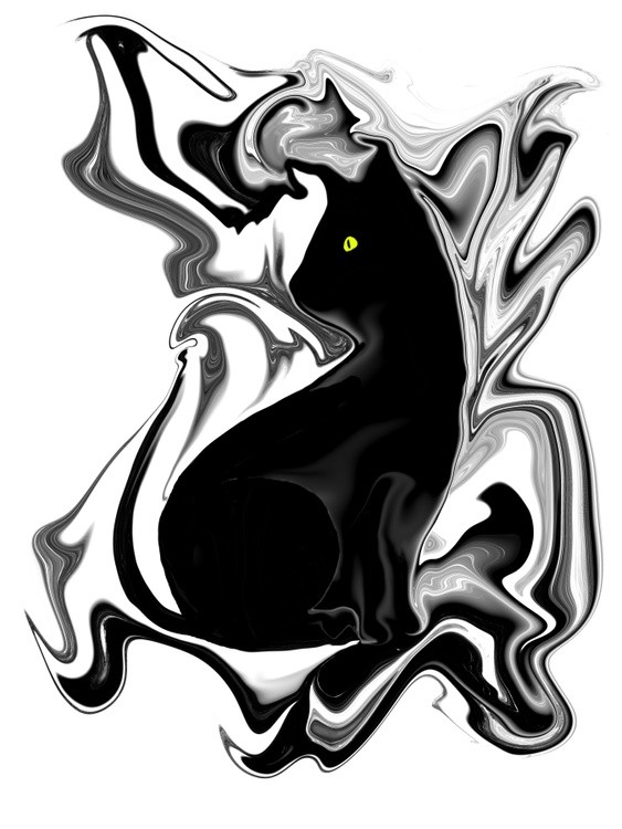 Cat Rorschach