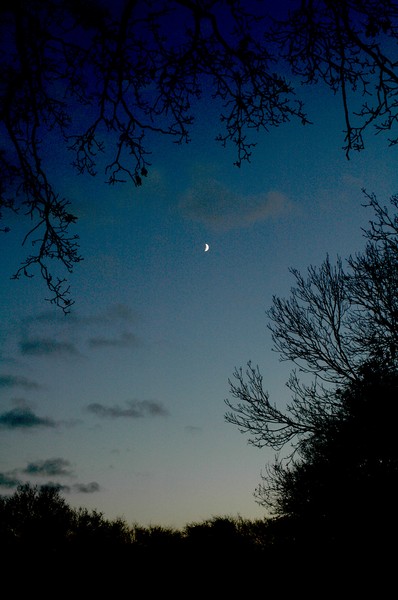 By The Moonlight
