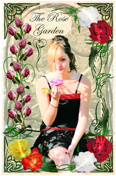 The Rose Garden