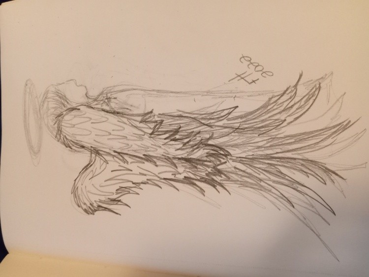 Angeled 2